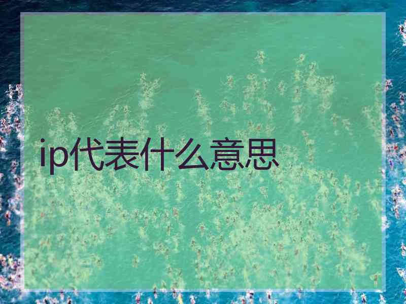 ip代表什么意思