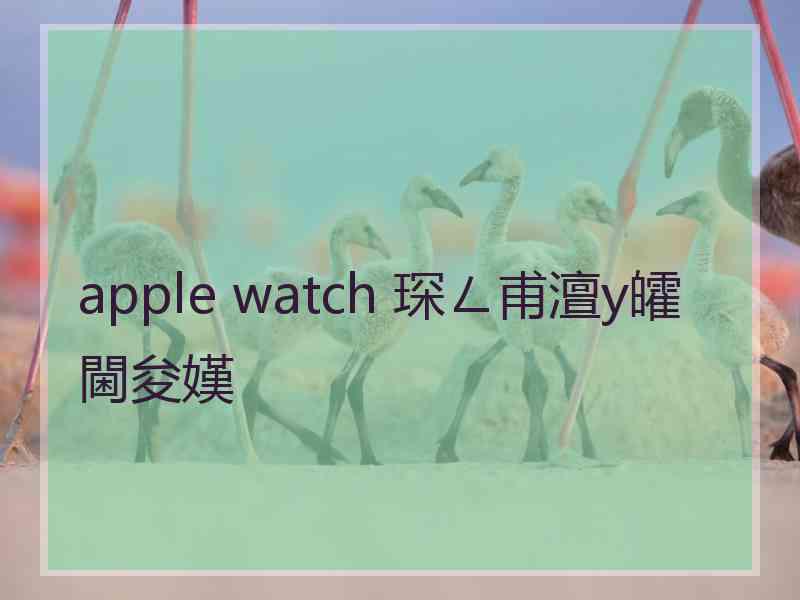 apple watch 琛ㄥ甫澶у皬閫夋嫨