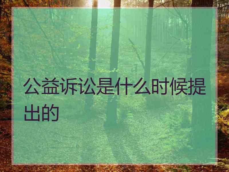 公益诉讼是什么时候提出的
