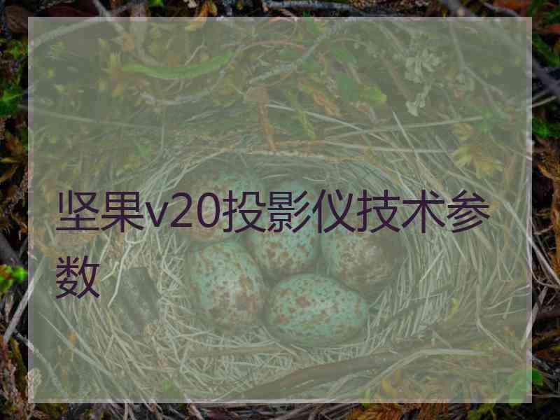 坚果v20投影仪技术参数