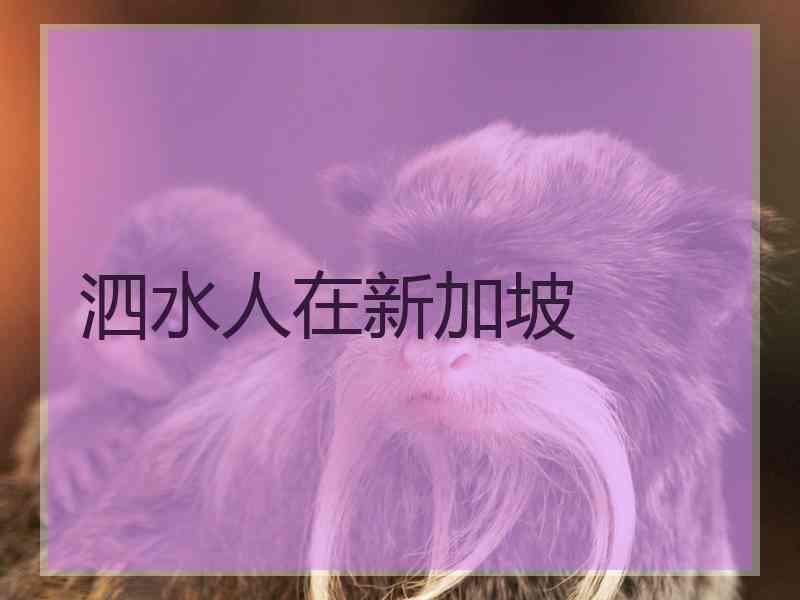 泗水人在新加坡