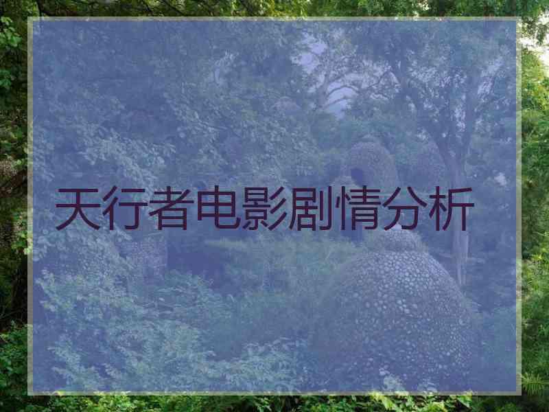 天行者电影剧情分析