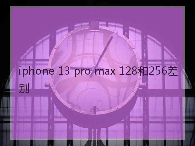 iphone 13 pro max 128和256差别