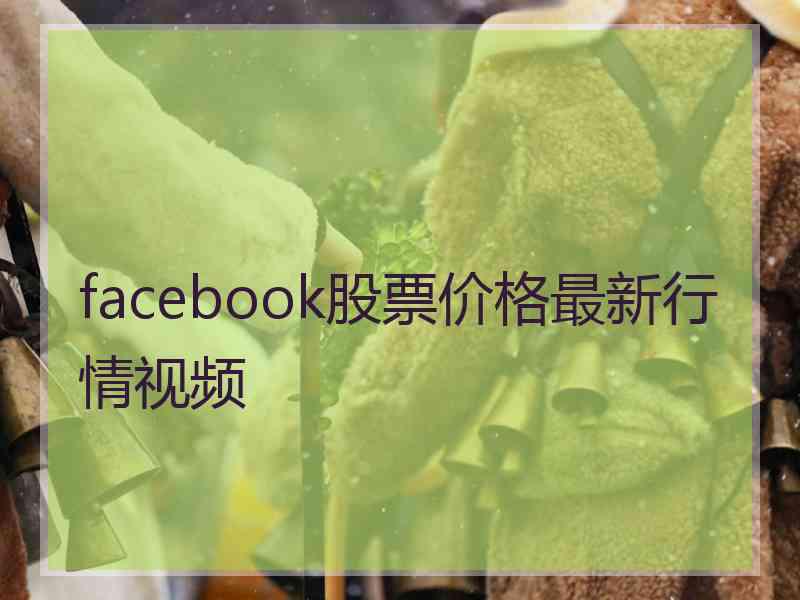 facebook股票价格最新行情视频