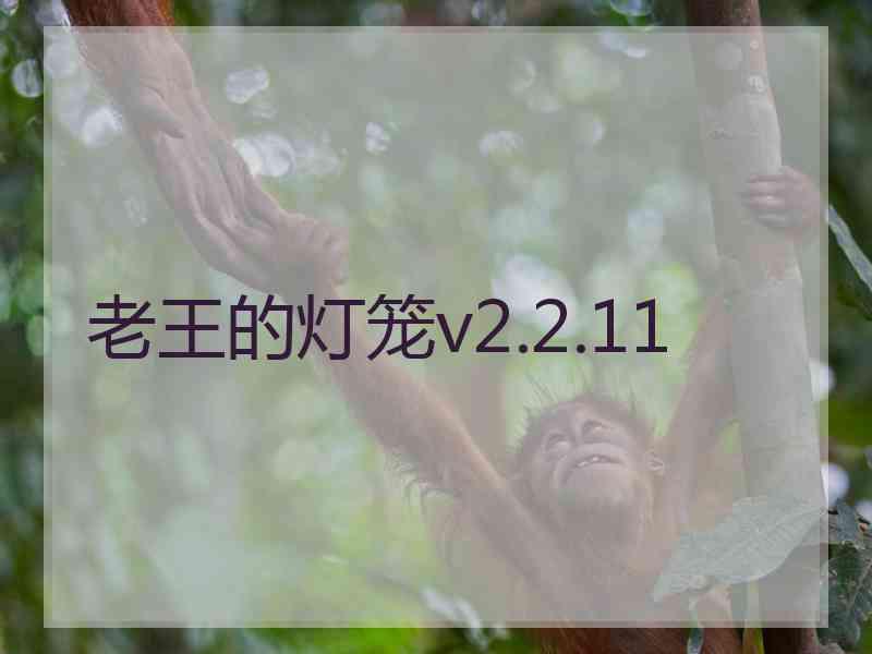 老王的灯笼v2.2.11