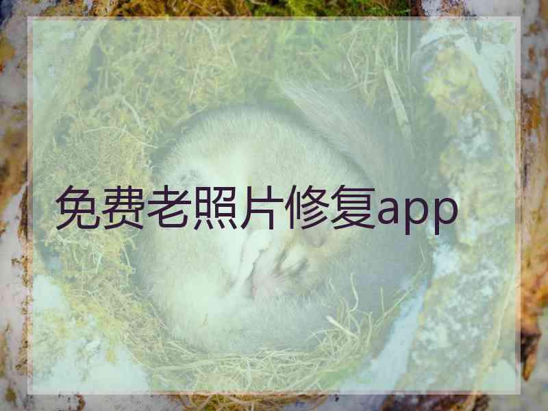 免费老照片修复app
