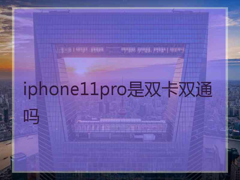 iphone11pro是双卡双通吗