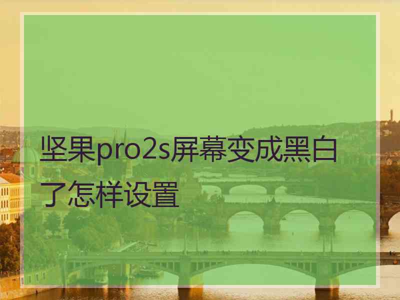 坚果pro2s屏幕变成黑白了怎样设置