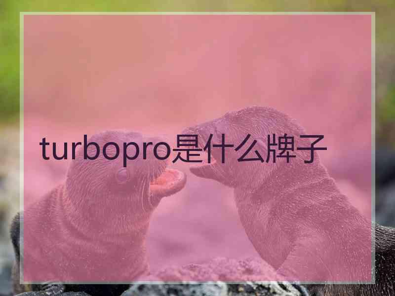 turbopro是什么牌子