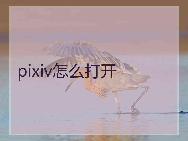 pixiv怎么打开
