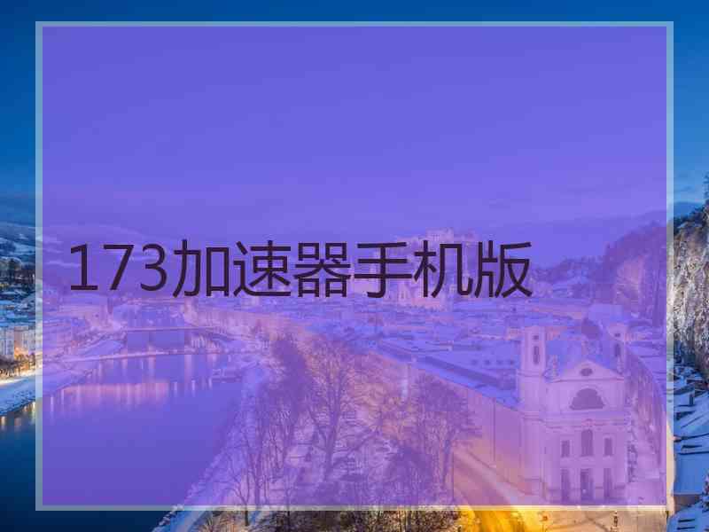 173加速器手机版
