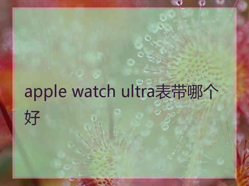 apple watch ultra表带哪个好