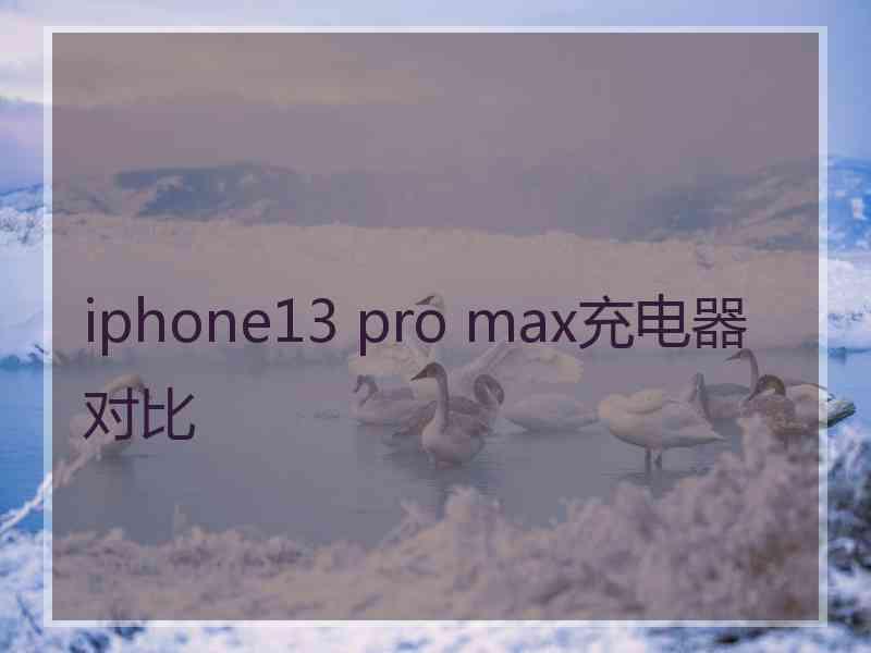 iphone13 pro max充电器对比