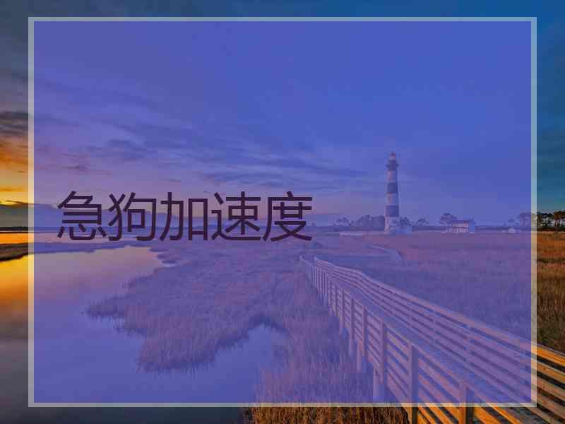 急狗加速度