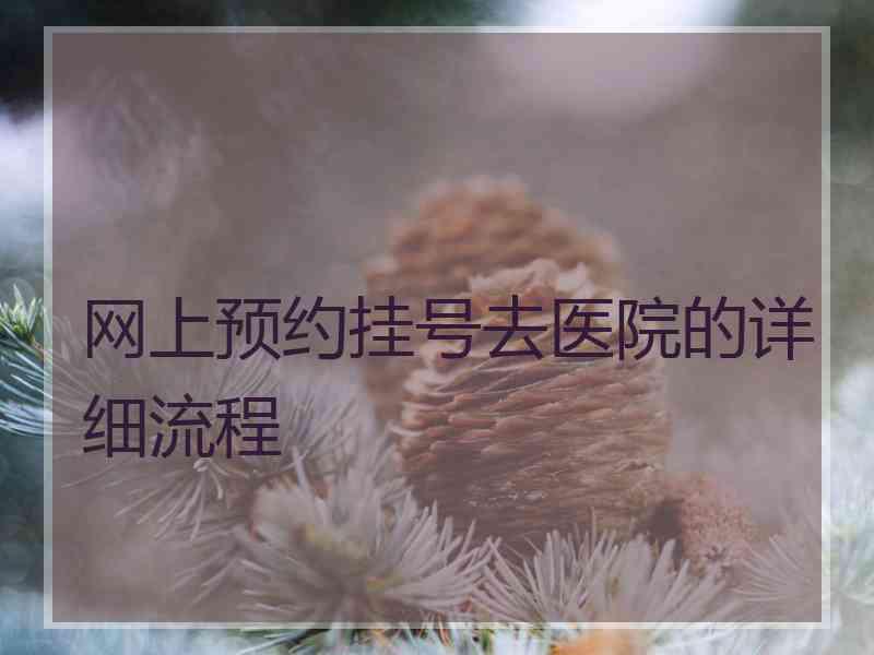 网上预约挂号去医院的详细流程