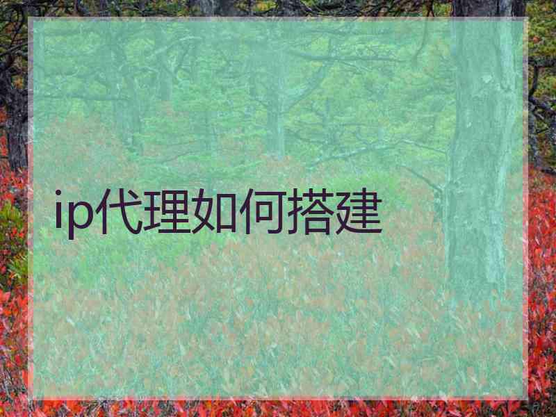 ip代理如何搭建
