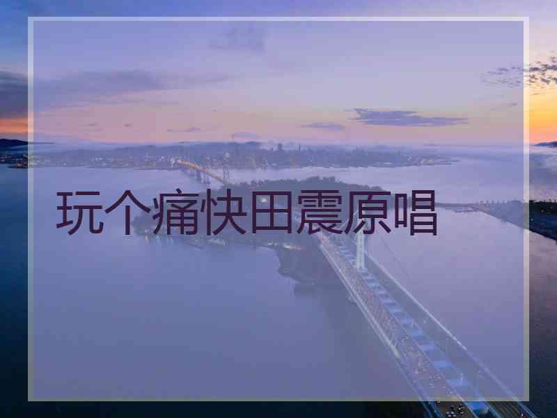 玩个痛快田震原唱