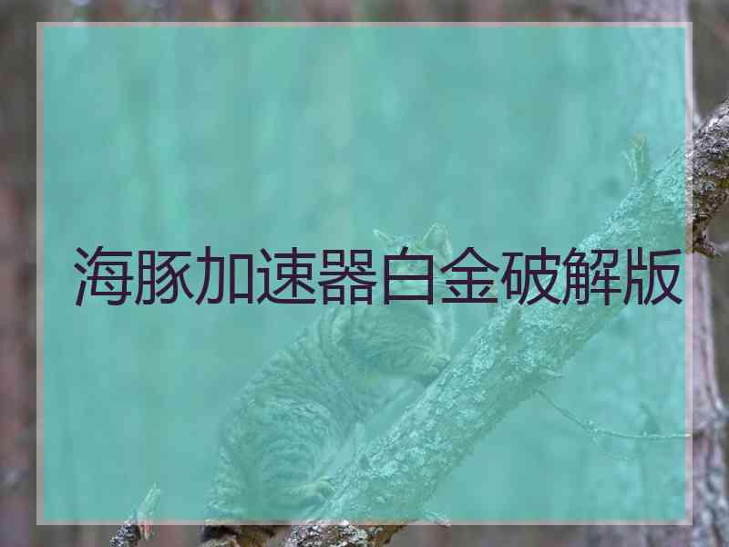 海豚加速器白金破解版