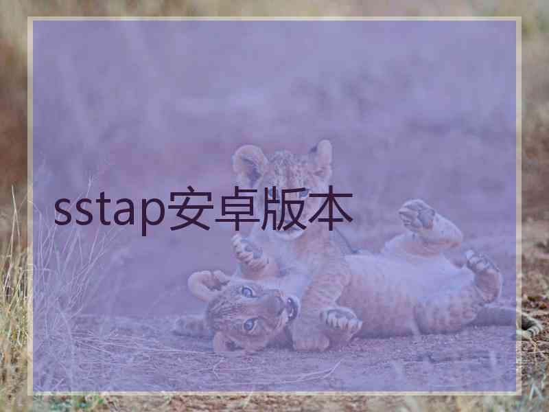 sstap安卓版本