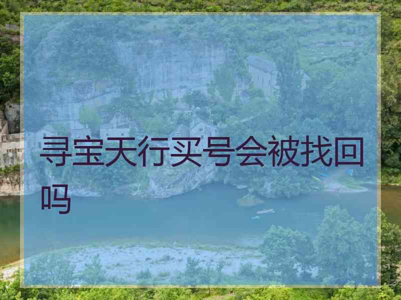 寻宝天行买号会被找回吗