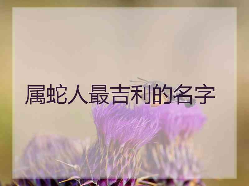 属蛇人最吉利的名字
