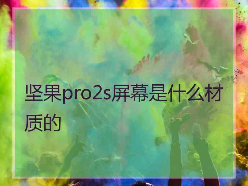 坚果pro2s屏幕是什么材质的