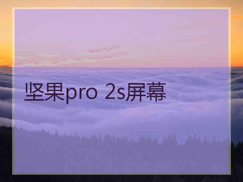 坚果pro 2s屏幕