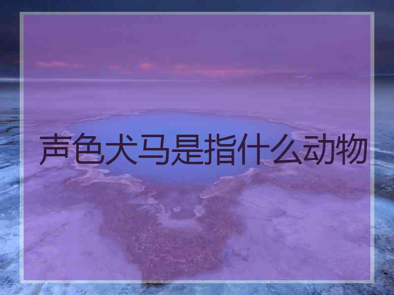 声色犬马是指什么动物