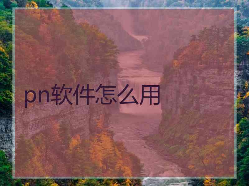 pn软件怎么用