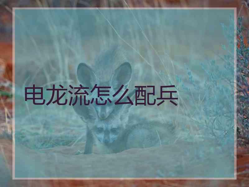 电龙流怎么配兵