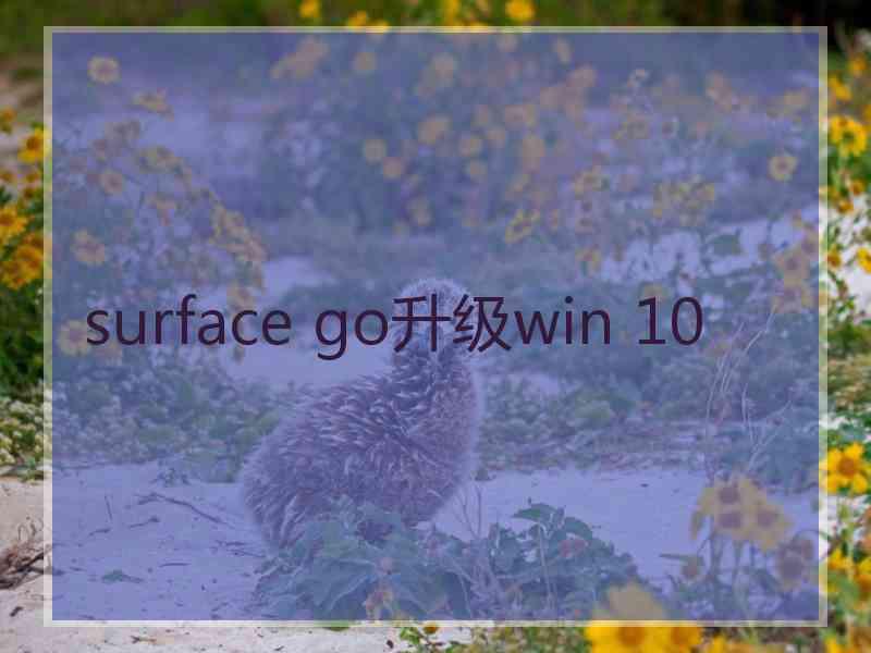 surface go升级win 10