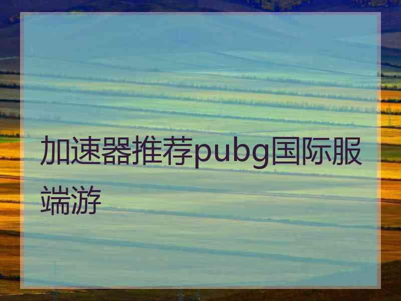 加速器推荐pubg国际服端游