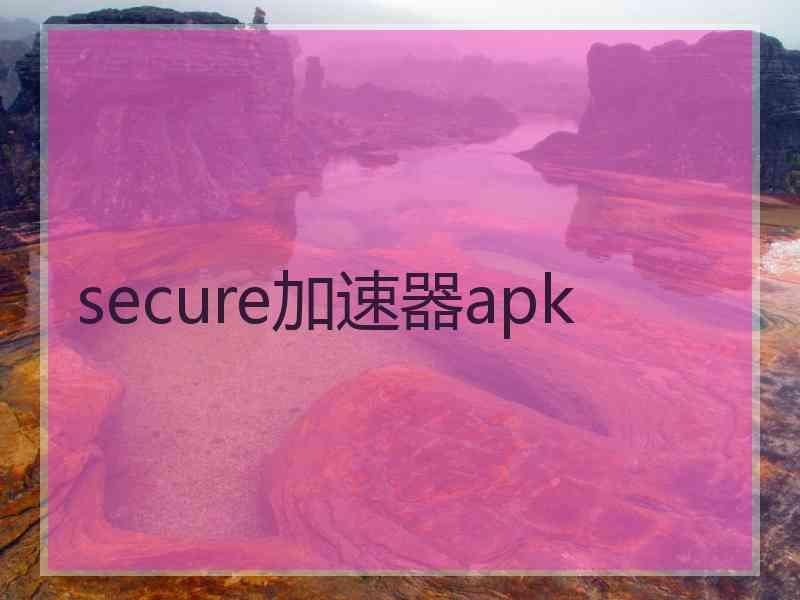 secure加速器apk
