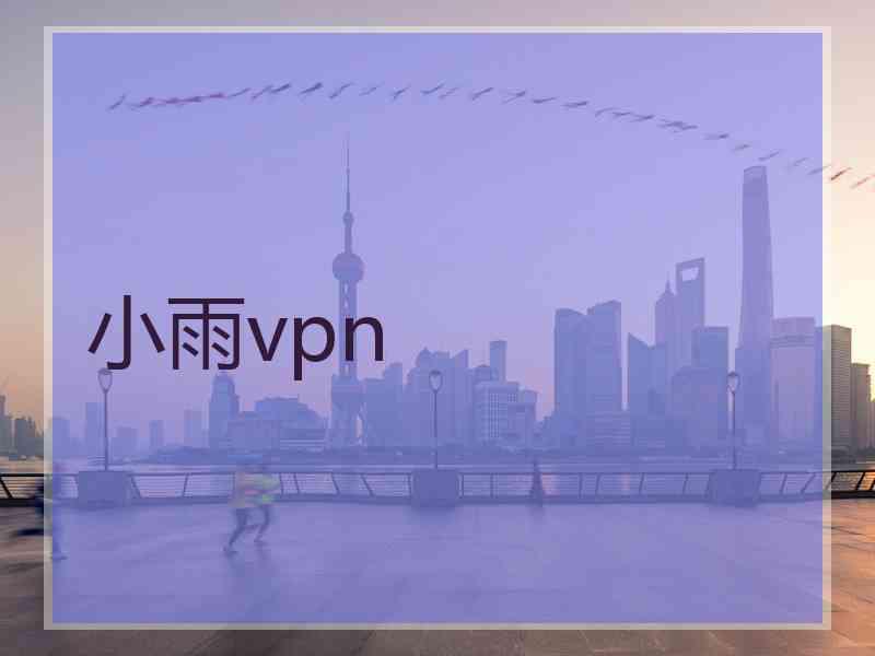 小雨vpn