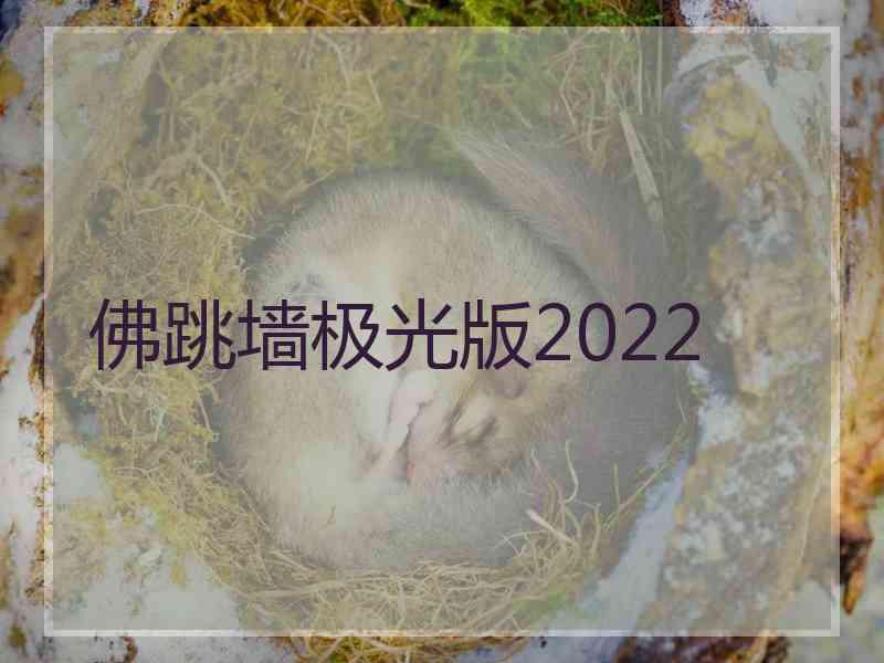 佛跳墙极光版2022