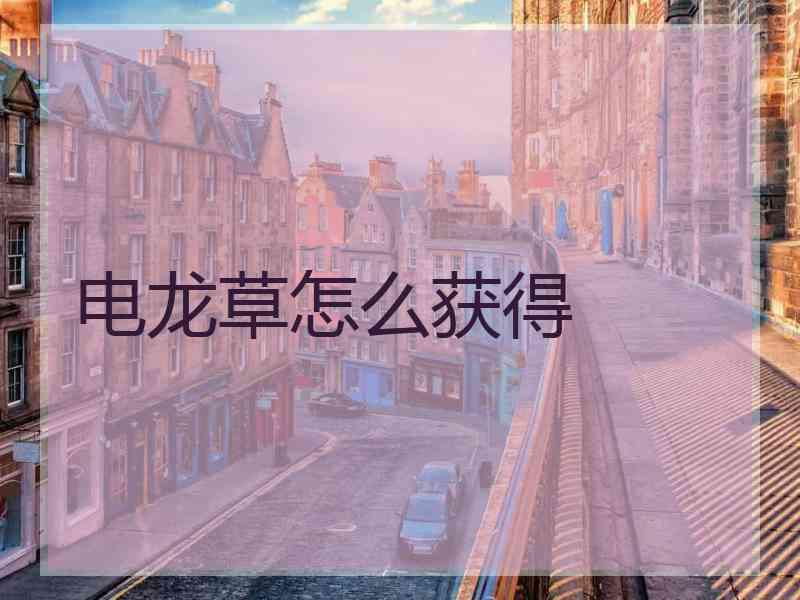 电龙草怎么获得
