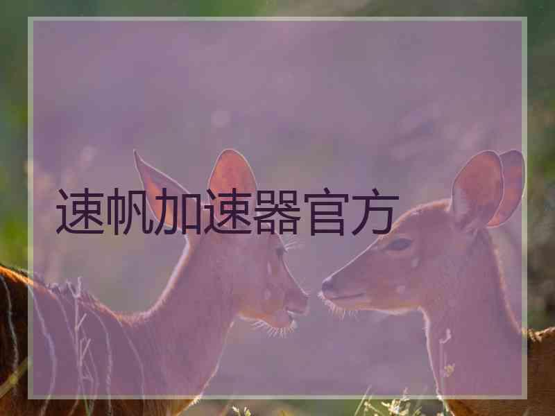 速帆加速器官方