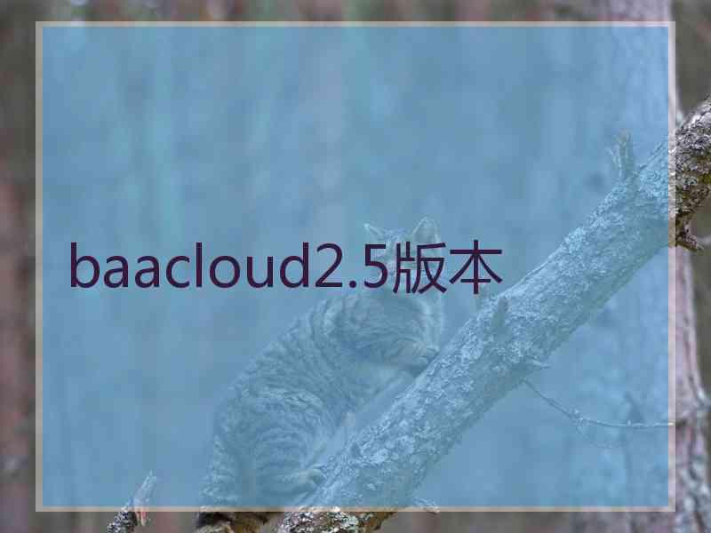 baacloud2.5版本