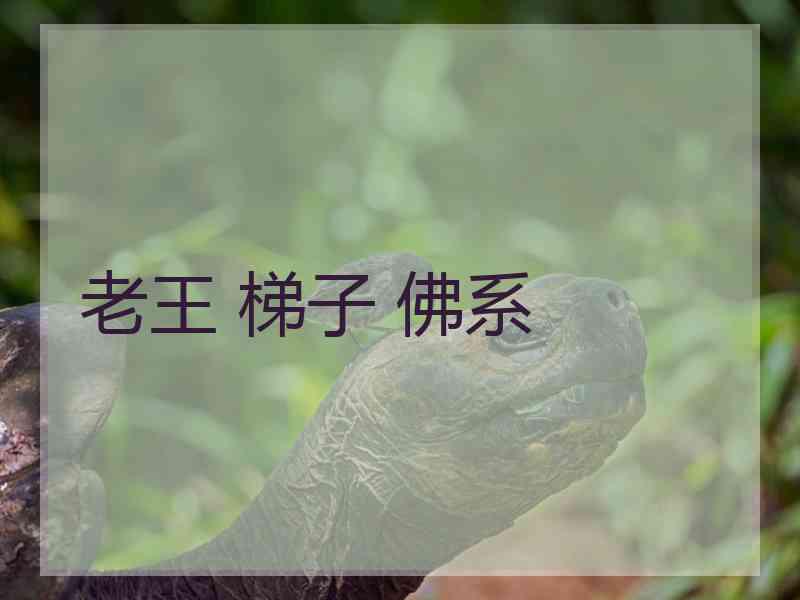 老王 梯子 佛系