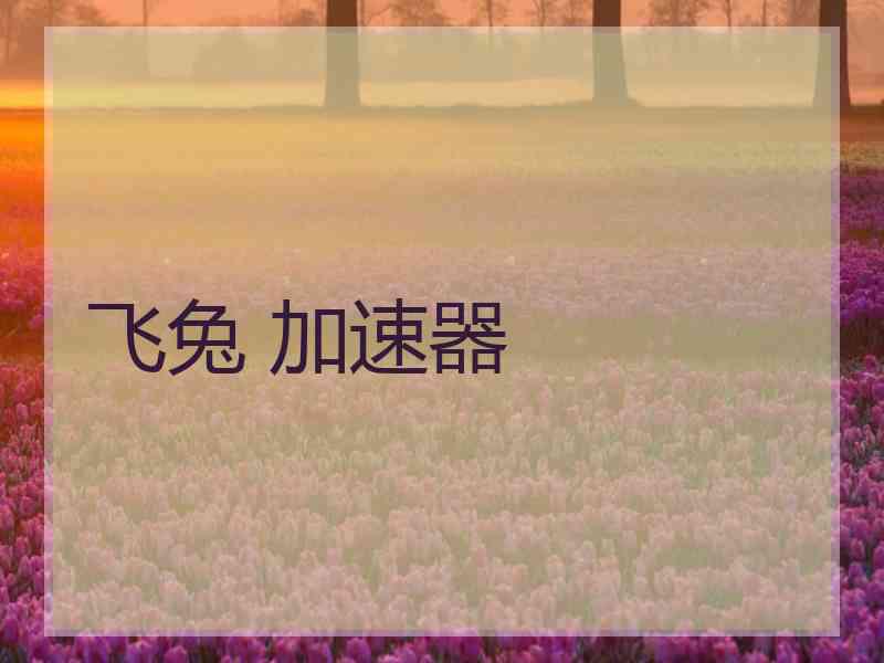 飞兔 加速器