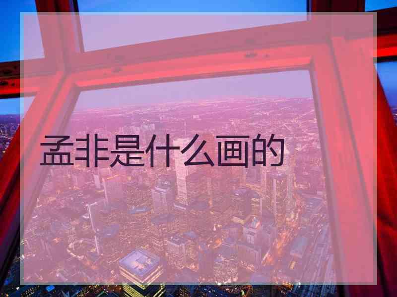 孟非是什么画的