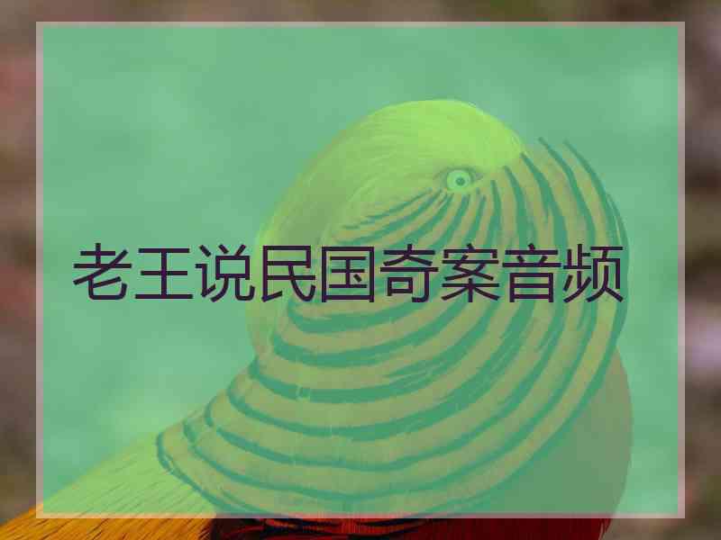 老王说民国奇案音频