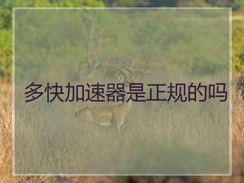 多快加速器是正规的吗