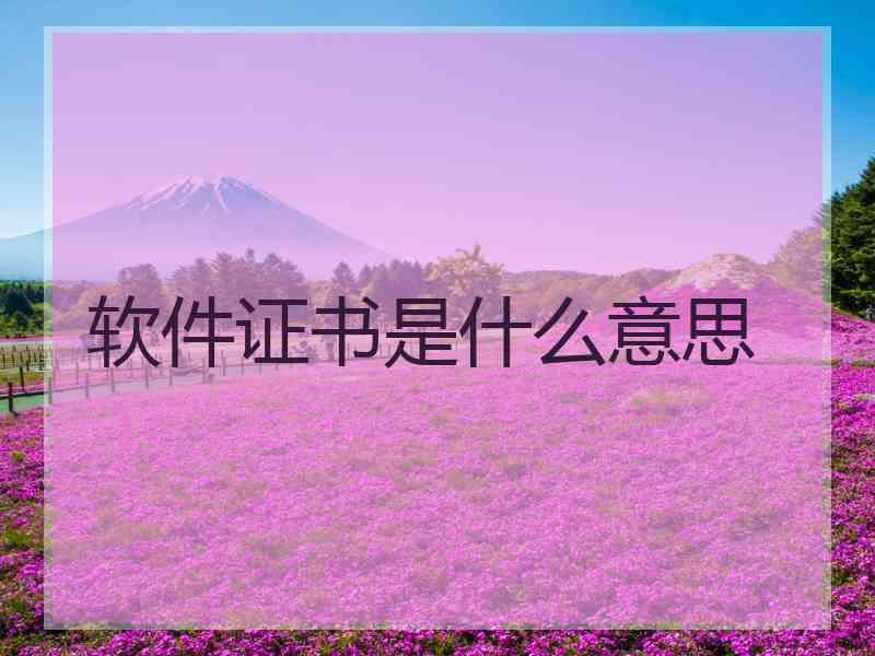 软件证书是什么意思