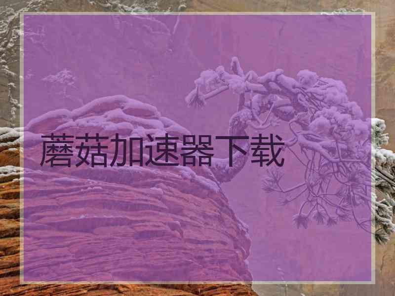 蘑菇加速器下载