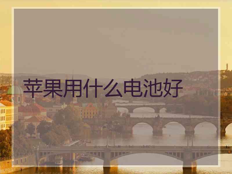 苹果用什么电池好