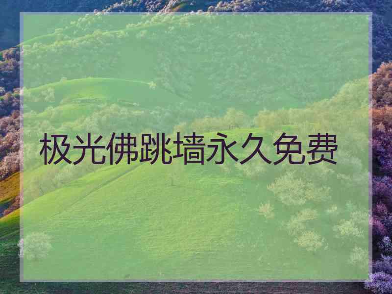 极光佛跳墙永久免费