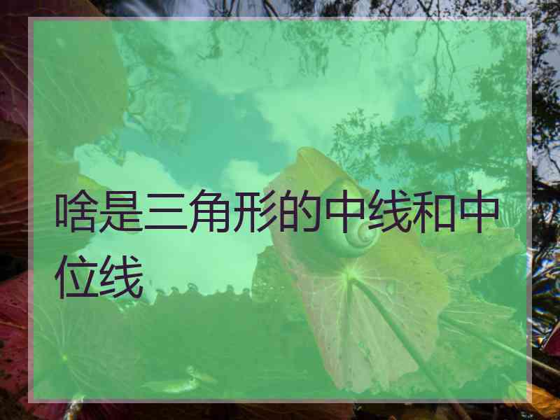 啥是三角形的中线和中位线