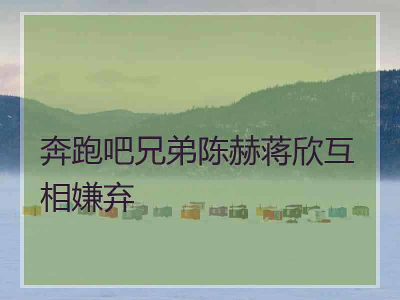 奔跑吧兄弟陈赫蒋欣互相嫌弃