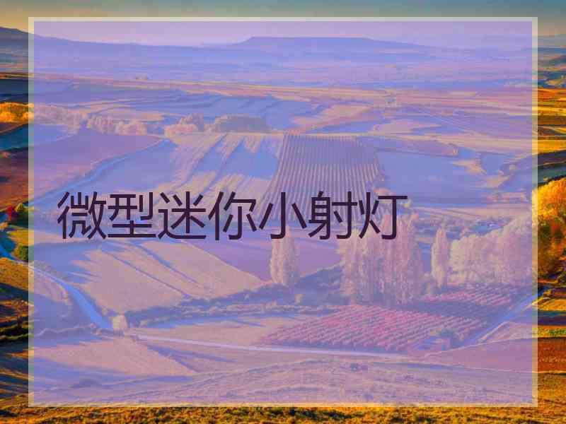 微型迷你小射灯